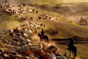 A new study brings a fresh perspective on the Anatolian origin of the Indo-European languages