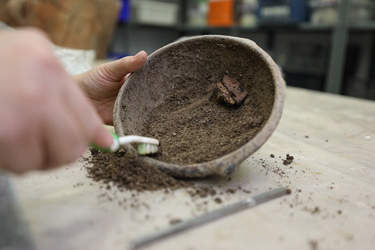 What was the reason for leaving the food on the plate and running away 5,000 years ago?