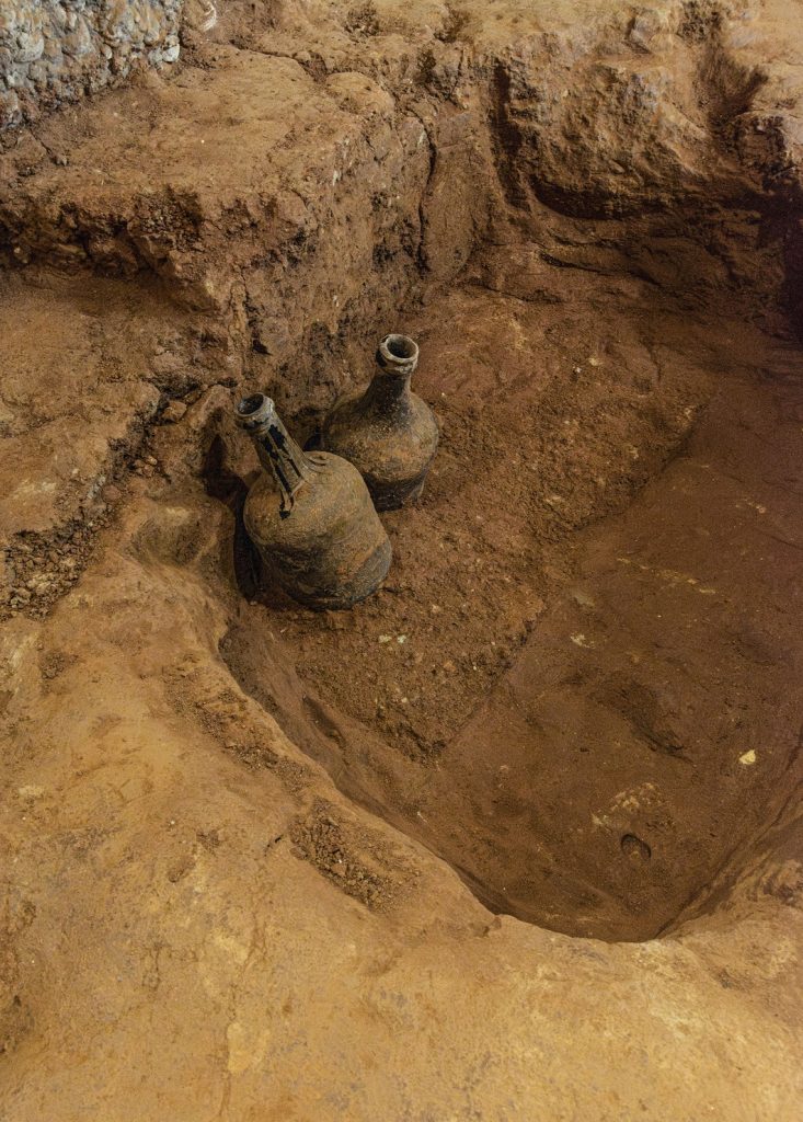 200-year-old cherries found in the cellar of George Washington's mansion