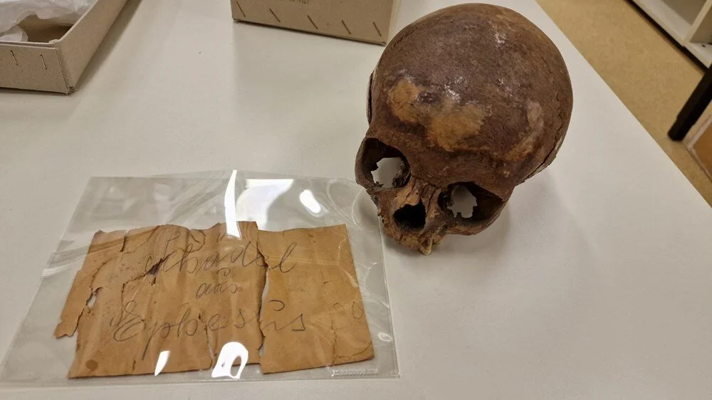 Skull Found 100 Years Ago Not Belonging to Cleopatra's Sister Revealed