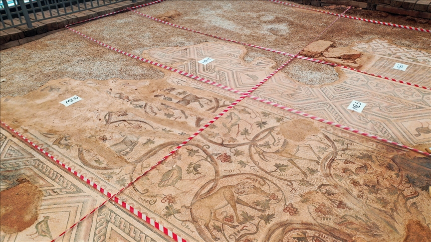 Conservation Underway on 1,500-Year-Old Mosaic in Türkiye’s Ancient City of Perre