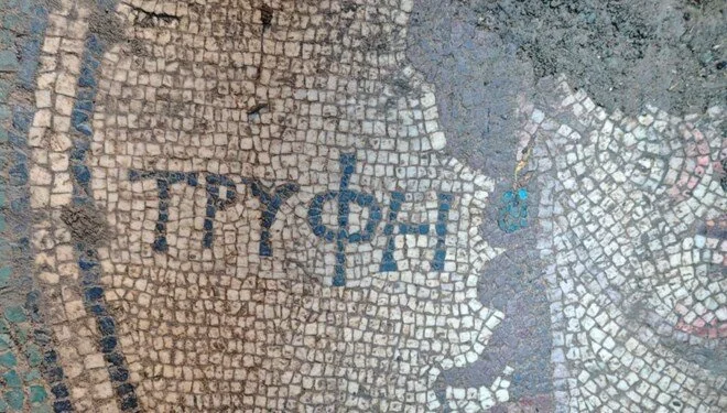 Illegal Excavation Uncovers 2,000-Year-Old Roman Mosaic in Zile
