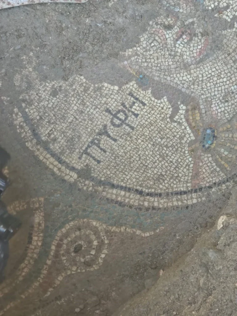 Illegal Excavation Uncovers 2,000-Year-Old Roman Mosaic in Zile