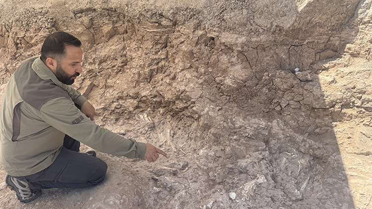 7.7-Million-Year-Old Fossil Bed Discovered by Goat Herder in Central Türkiye