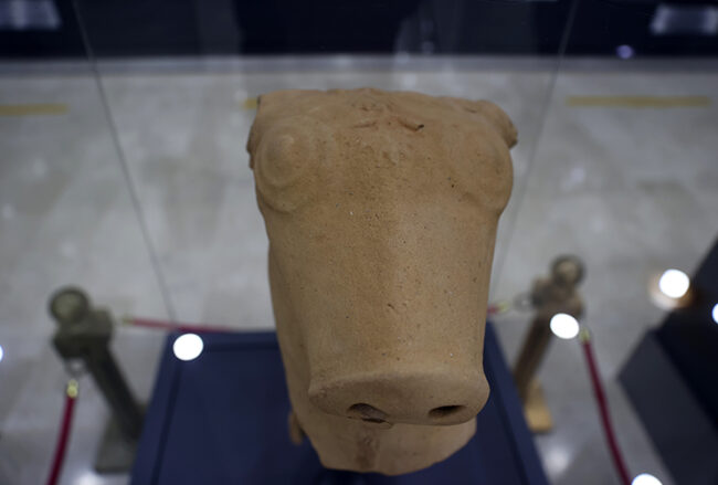 Hittite Bull-Headed Jug Piece