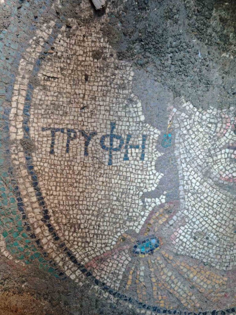 Illegal Excavation in Türkiye’s Tokat Uncovers Rare Roman Mosaic