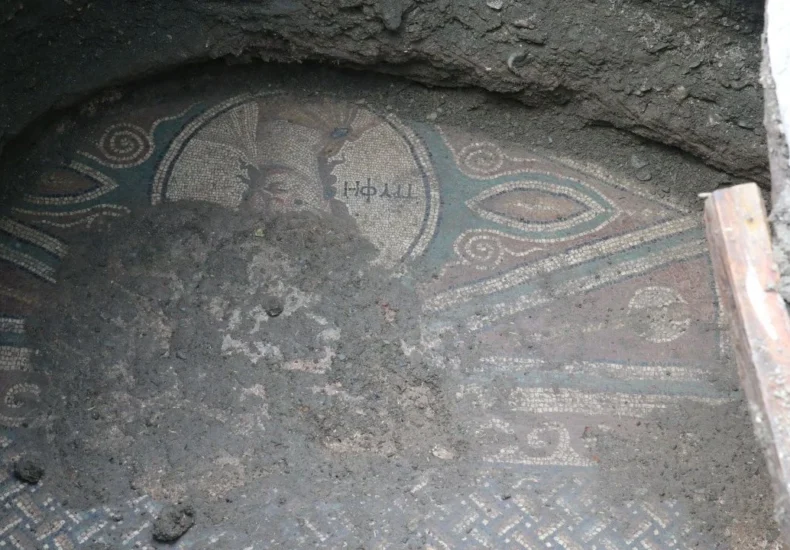 Illegal Excavation in Türkiye’s Tokat Uncovers Rare Roman Mosaic