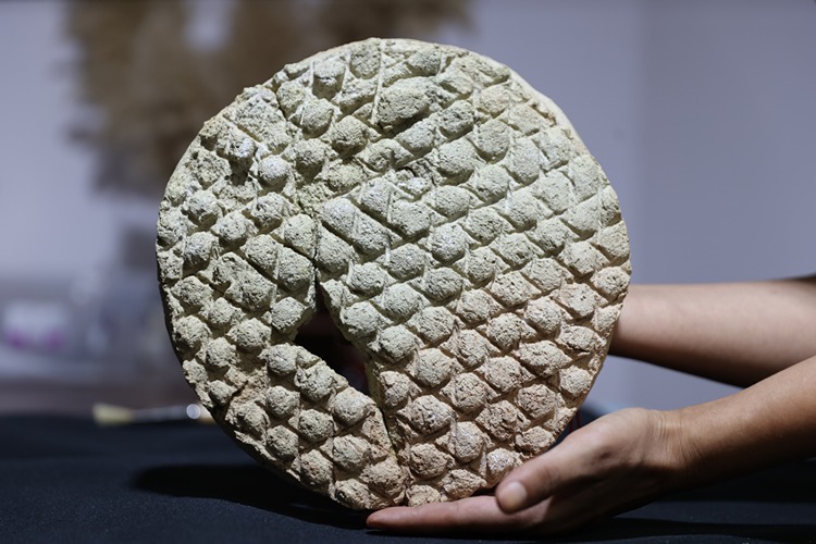 Ancient Bread Mold Unearthed in Harran Reveals 800-Year-Old Culinary Traditions