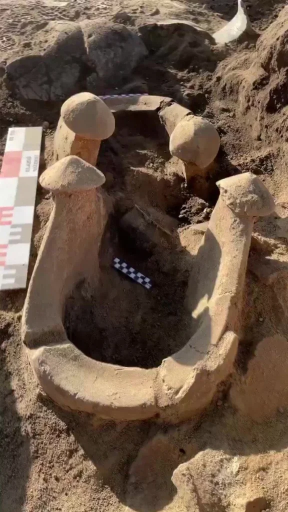 Evidence of 6,000-Year-Old Sacrificial Rituals Unearthed at Tadım Fortress Excavations in Elazığ