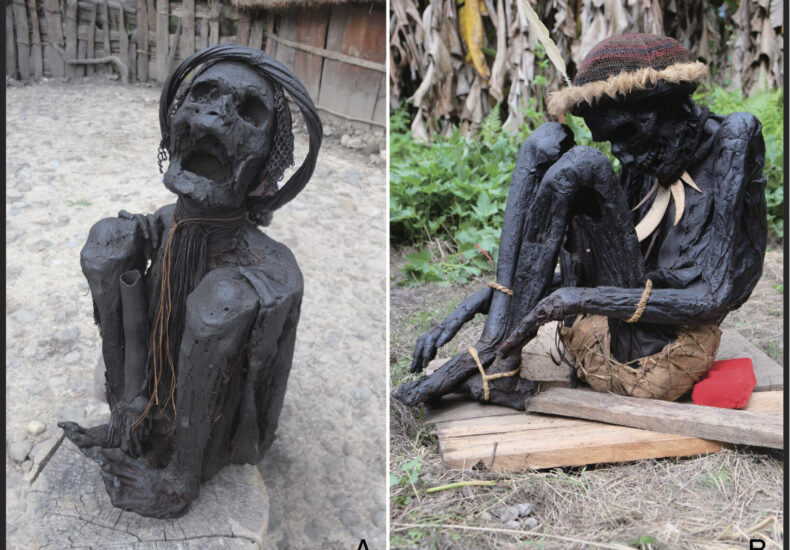 World’s Oldest Mummies May Be 12,000 Years Old, Discovered in Southeast Asia