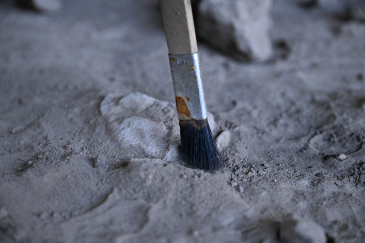 13,000-Year-Old Bone Tools and Beads Unearthed in Direkli Cave Reveal Early Anatolian Craftsmanship