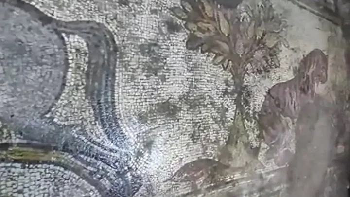 1,500-Year-Old Roman Mosaic Unearthed in Mardin During “Anatolian Heritage” Operation