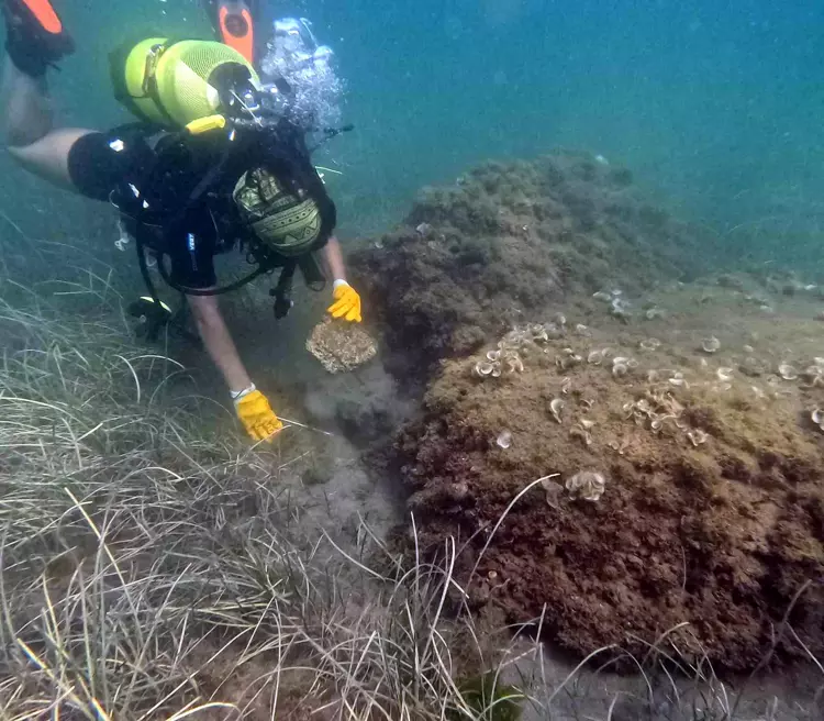 New Coastal Excavations at Perinthos Reveal Signs of Shell Processing on the Marmara Shore