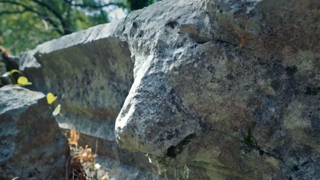 2,000-Year-Old Lion-Headed Gargoyle Damaged at Termessos