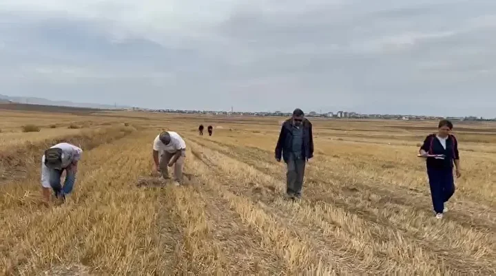 How the Crusaders Were Defeated in Anatolia: New Evidence Reveals the Route and Fortress of the Battle of Merzifon