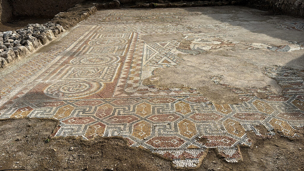 Late Roman Palace Hall with Rare Mosaics Discovered at Hadrianopolis in Northern Anatolia