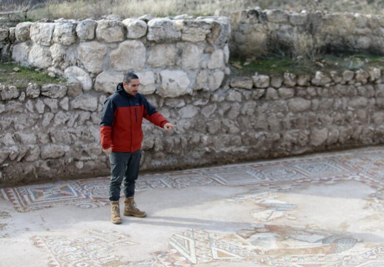 Late Roman Palace Hall with Rare Mosaics Discovered at Hadrianopolis in Northern Anatolia