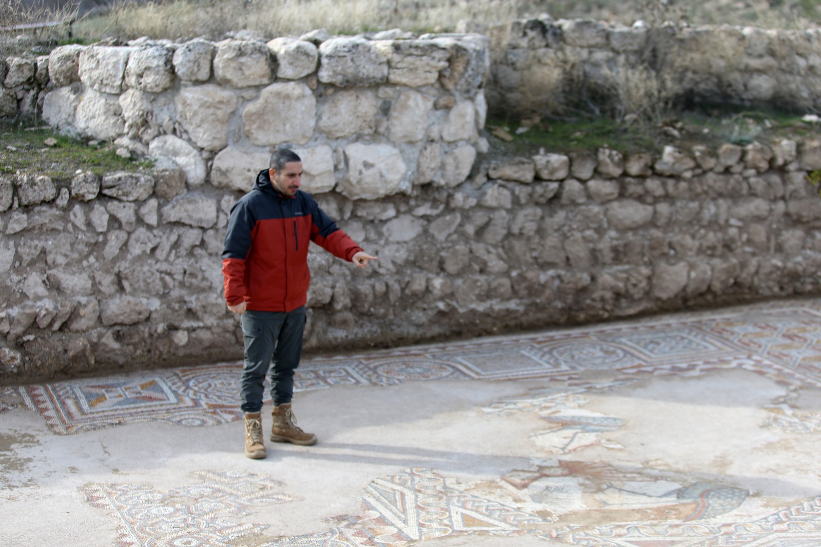 Late Roman Palace Hall with Rare Mosaics Discovered at Hadrianopolis in Northern Anatolia