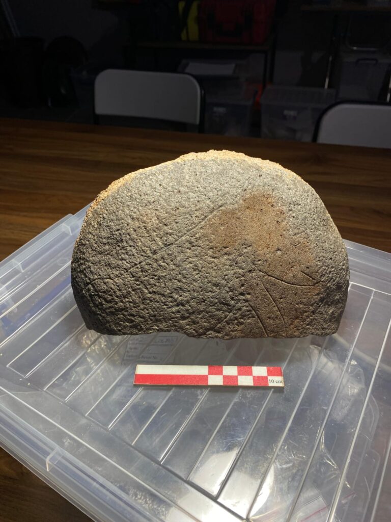 A Newly Identified Boar Piglet Engraving Emerges from Sefertepe’s 2025 Excavations