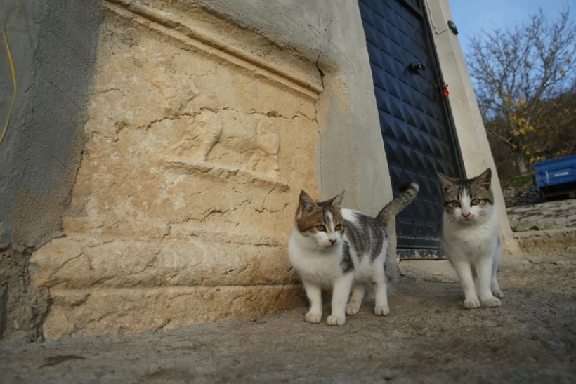 Villagers Used Stones from a Zeus Temple to Build Their Homes
