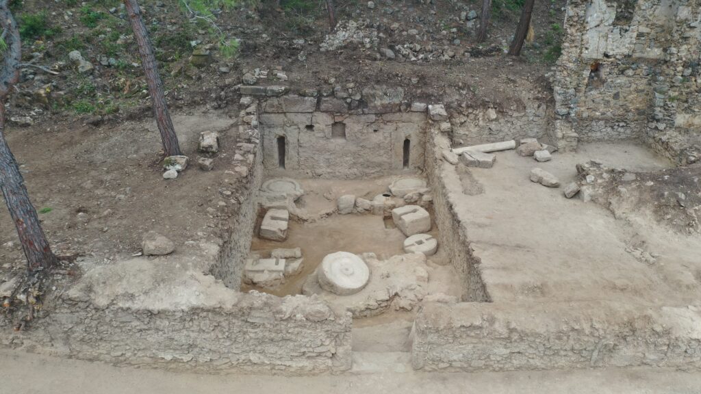 Olive Oil Workshops Reveal Syedra’s