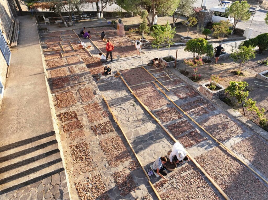 3,000 Ritual Hydriskoi Discovered at Demeter–Kore Temple in Aigai