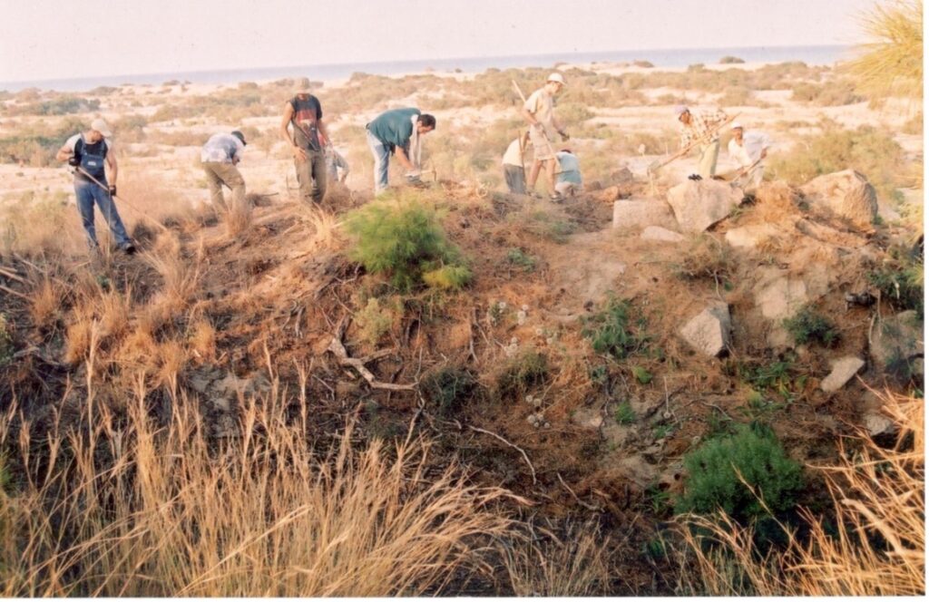 Under the Blazing Sun, It All Began: The First Day of the Patara Lighthouse Excavation