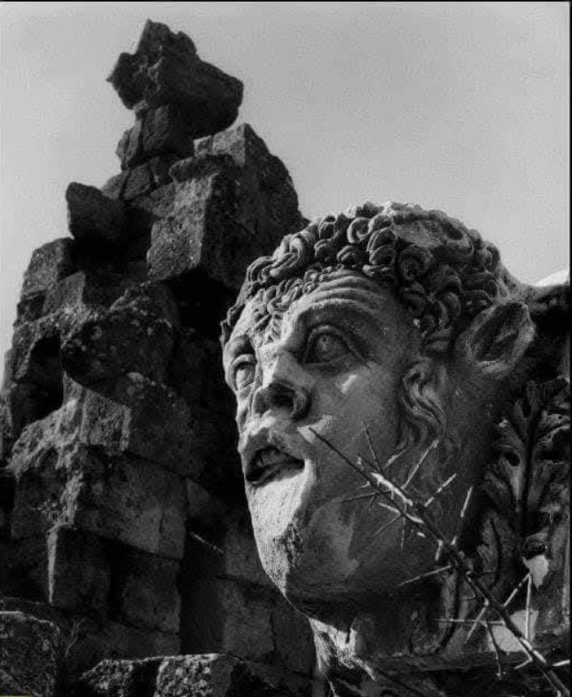 A Lost City Revealed by Chance: Ara Güler’s Photographs Brought Aphrodisias to the World