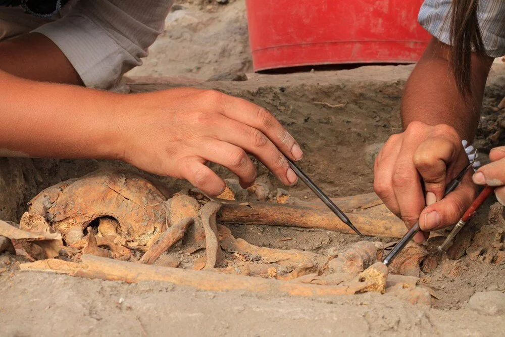 Skull Found 100 Years Ago Not Belonging to Cleopatra's Sister Revealed
