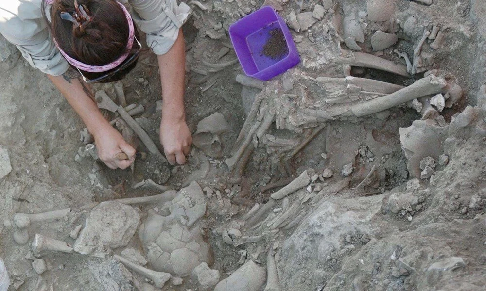 Gökçeada: Home to the Earliest Agricultural Village in the Aegean Islands
