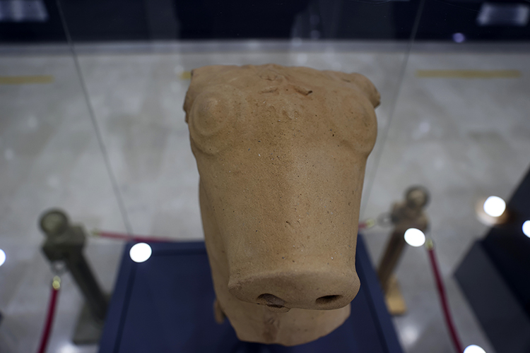 Hittite Bull-Headed Jug Piece