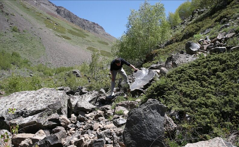 Tracing the Millennia-Long Journey of Obsidian from Bitlis to the Levant