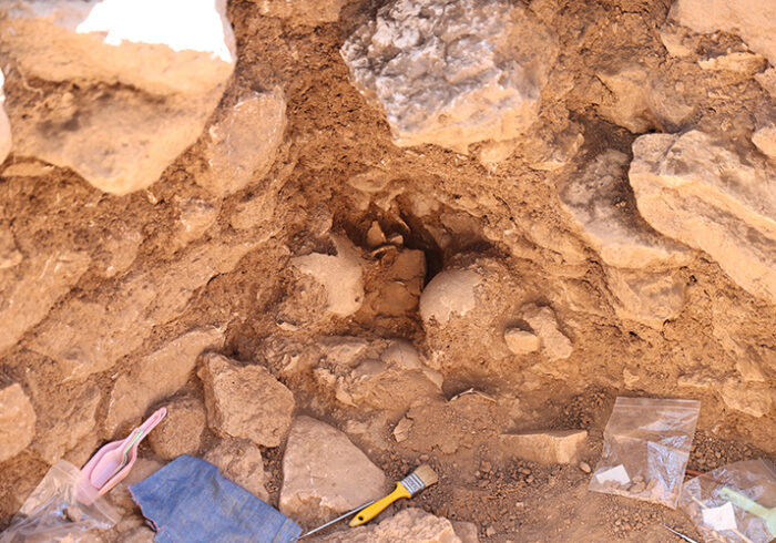 12 Ancient Human Skulls Unearthed at Sefertepe