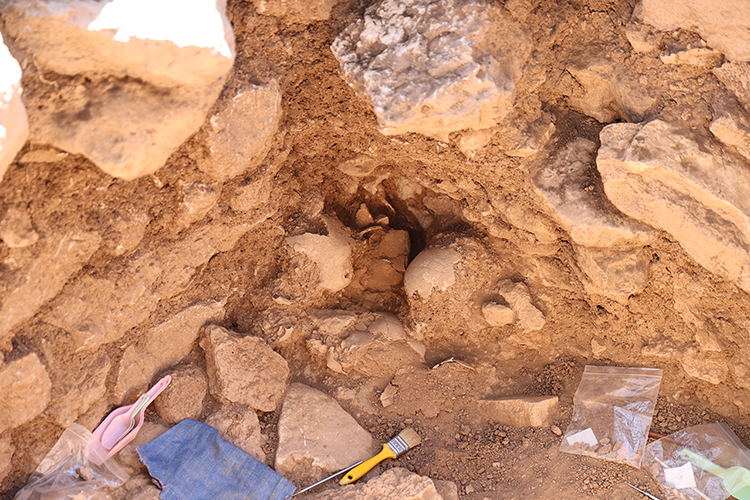 12 Ancient Human Skulls Unearthed at Sefertepe