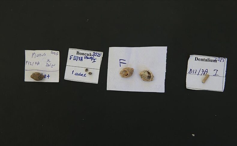 13,000-Year-Old Beads Unearthed in Direkli Cave Reveal Origins of Aesthetic Culture in Anatolia