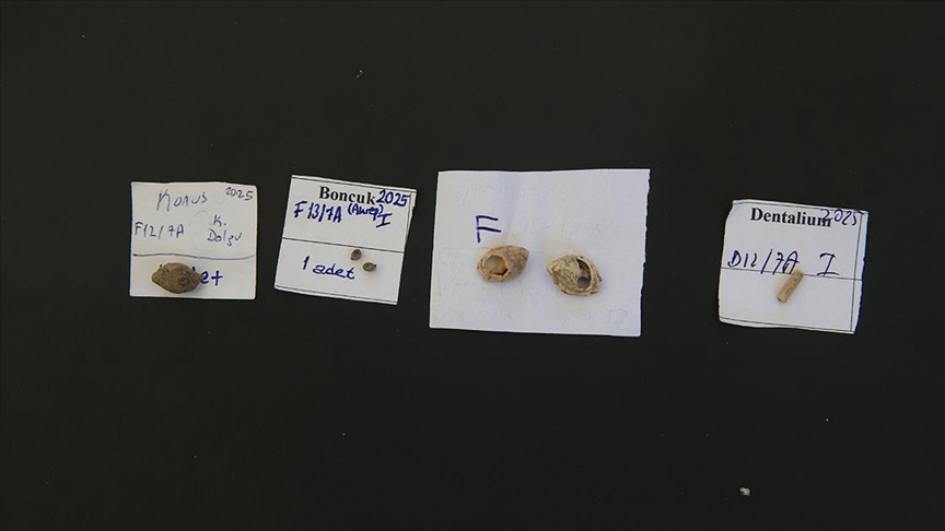 13,000-Year-Old Beads Unearthed in Direkli Cave Reveal Origins of Aesthetic Culture in Anatolia