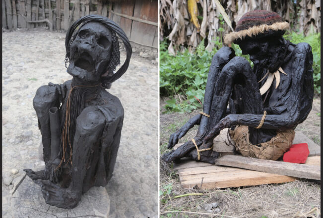 World’s Oldest Mummies May Be 12,000 Years Old, Discovered in Southeast Asia