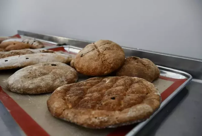 3,000-Year-Old Honey-Barley Bread Recreated in Ancient Hasankeyf