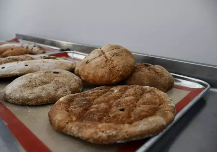 3,000-Year-Old Honey-Barley Bread Recreated in Ancient Hasankeyf