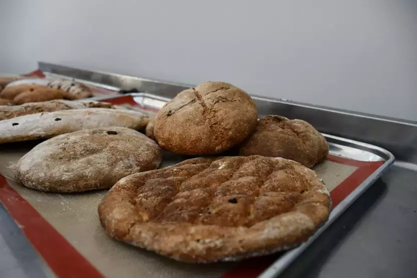 3,000-Year-Old Honey-Barley Bread Recreated in Ancient Hasankeyf