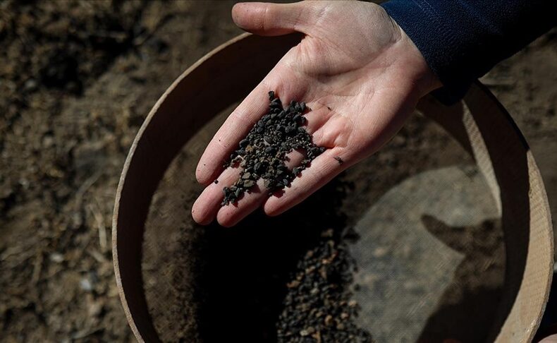 5,000-Year-Old Carbonized Barley Found in Early Bronze Age Settlement in Van’s Gürpınar District