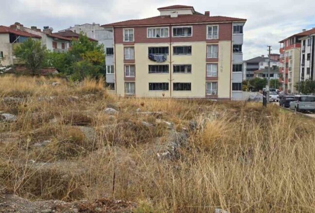 Forgotten Neolithic Settlement in Bilecik: 9,000 Years of History Hidden Beneath the Grass