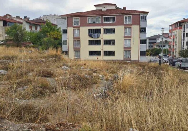 Forgotten Neolithic Settlement in Bilecik: 9,000 Years of History Hidden Beneath the Grass