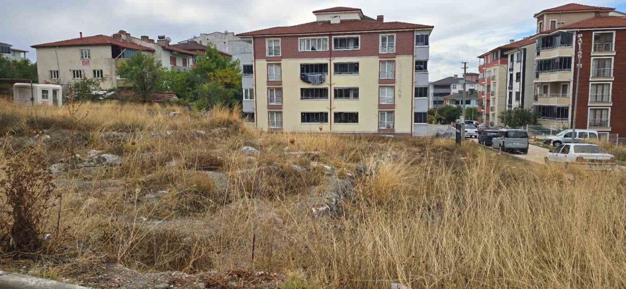 Forgotten Neolithic Settlement in Bilecik: 9,000 Years of History Hidden Beneath the Grass