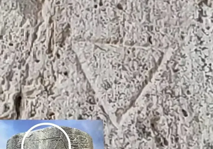 A Seljuk Caravanserai Reveals Rare Mongol and Turkic Tamgas