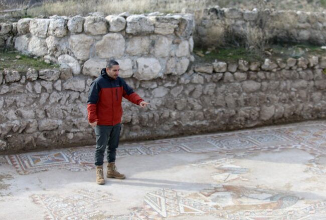 Late Roman Palace Hall with Rare Mosaics Discovered at Hadrianopolis in Northern Anatolia