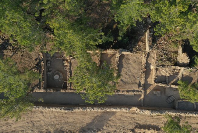 Olive Oil Workshops Reveal Syedra’s