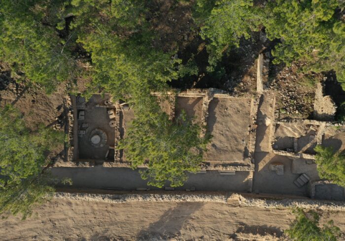 Olive Oil Workshops Reveal Syedra’s