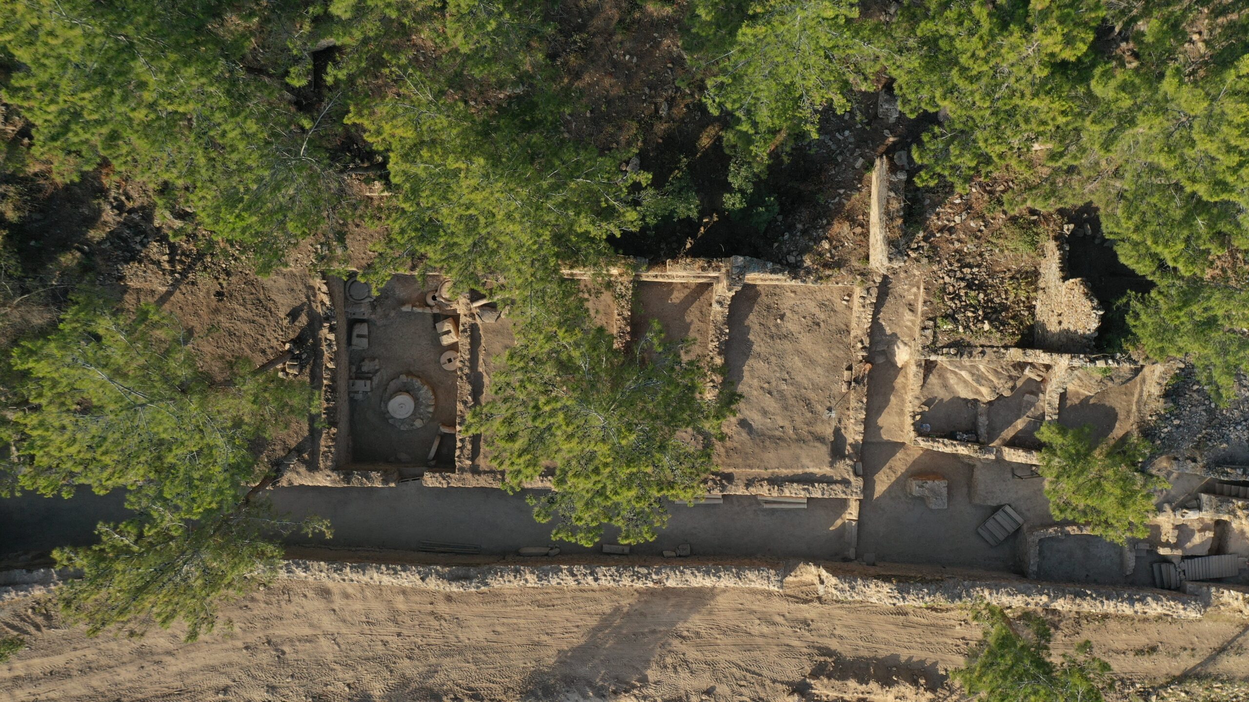 Olive Oil Workshops Reveal Syedra’s