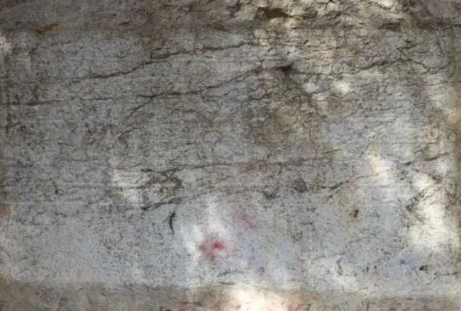 A 600-year-old Ottoman endowment inscription carved directly into natural bedrock has been restored in Amasya, northern Türkiye. Dating to 1418, the Bayezid Pasha foundation text is now readable again after years of damage, and experts say it may represent the only known example of a waqf inscription carved into living rock anywhere in the world. Located along the banks of the Yeşilırmak River, near the Leğenkaya Waterfall, the inscription had long been obscured by graffiti and surface deterioration. The recent restoration has not only cleaned the stone but also revealed a rare form of Ottoman documentation—one that was literally engraved into the landscape. A waqf text carved into living rock Commissioned by Grand Vizier Bayezid Pasha during the reign of Ottoman Sultan Mehmed I, the inscription differs fundamentally from typical waqf documents. Instead of being written on paper or carved onto a separate stone slab, the text was engraved directly into the natural rock surface. Before carving began, the rock face was carefully leveled to create a smooth plane resembling polished marble. The inscription, executed in relief, spans approximately 3 meters in width and 110 centimeters in height. It consists of eight lines in Arabic script and contains around 125 words, excluding particles. This deliberate and permanent method of inscription suggests a strong intention to embed the legal and charitable framework of the foundation into the physical environment itself. From vandalized surface to readable text Over time, the inscription suffered significant damage. Spray paint, scratches, and informal markings had turned the surface into what locals described as a “writing board,” obscuring much of the original text. The restoration process involved carefully removing paint residues using a controlled micro-abrasion technique with travertine powder. The weakened stone surface was then stabilized with compatible conservation materials. To improve legibility, conservators applied subtle shading, allowing the carved letters to stand out more clearly without altering the original structure. As a result, the inscription has regained much of its visual clarity. Protected for the future The intervention went beyond cleaning and stabilization. A reinforced protection system was installed around the site, including structural supports and a transparent protective layer over the inscription itself. Lighting was also added to enhance nighttime visibility, ensuring the inscription can be appreciated while remaining protected from further environmental and human damage. Why this inscription matters Waqf (endowment) documents played a central role in the Ottoman world, defining how religious, social, and charitable institutions were funded and maintained. These texts were typically recorded in manuscripts or occasionally inscribed on architectural elements. The Amasya example stands apart. By carving the endowment directly into bedrock, its creators transformed a legal document into a permanent public statement embedded in the natural landscape. According to regional heritage officials, this characteristic may make it the only known rock-cut waqf inscription of its kind globally—a claim that, if further supported, would place the monument in a unique position within both Ottoman studies and the broader history of epigraphy.